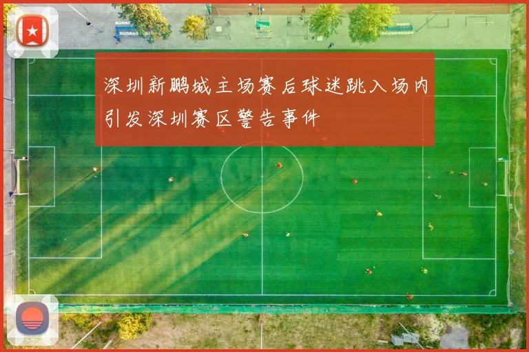 深圳新鹏城主场赛后球迷跳入场内引发深圳赛区警告事件