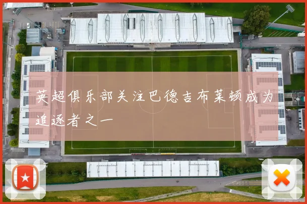 英超俱乐部关注巴德吉布莱顿成为追逐者之一