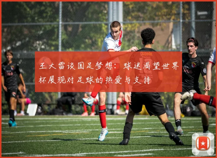 王大雷谈国足梦想：球迷渴望世界杯展现对足球的热爱与支持